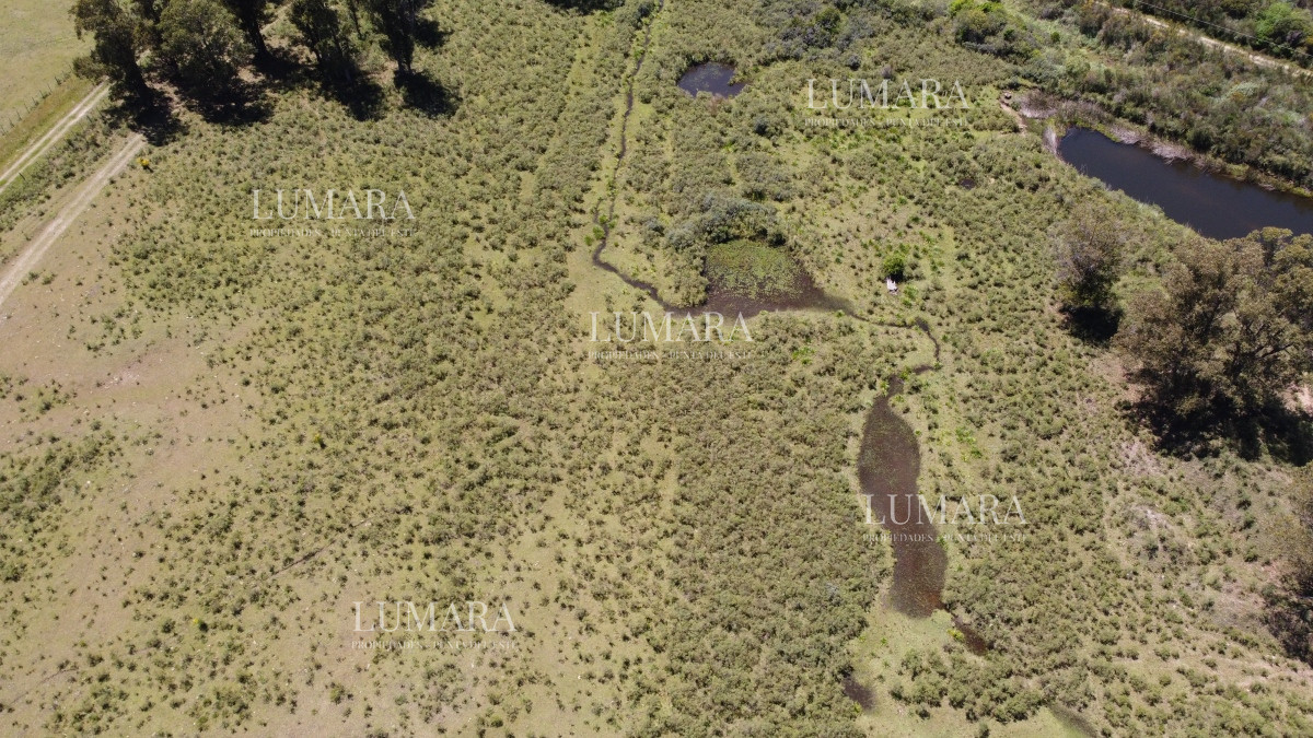 Chacra ID.3247 - Vendo chacra ruta 9, cerca de Pan de Azúcar, Maldonado. A 45´ de Punta del Este. Financia.