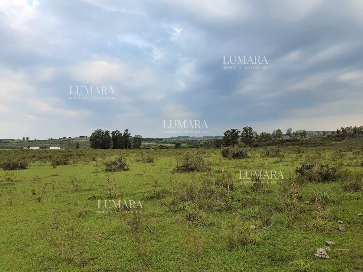 Chacra ID.3247 - Vendo chacra ruta 9, cerca de Pan de Azúcar, Maldonado. A 45´ de Punta del Este. Financia.