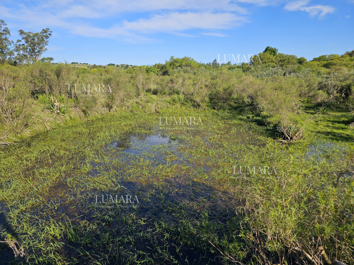 Chacra ID.3247 - Vendo chacra ruta 9, cerca de Pan de Azúcar, Maldonado. A 45´ de Punta del Este. Financia.