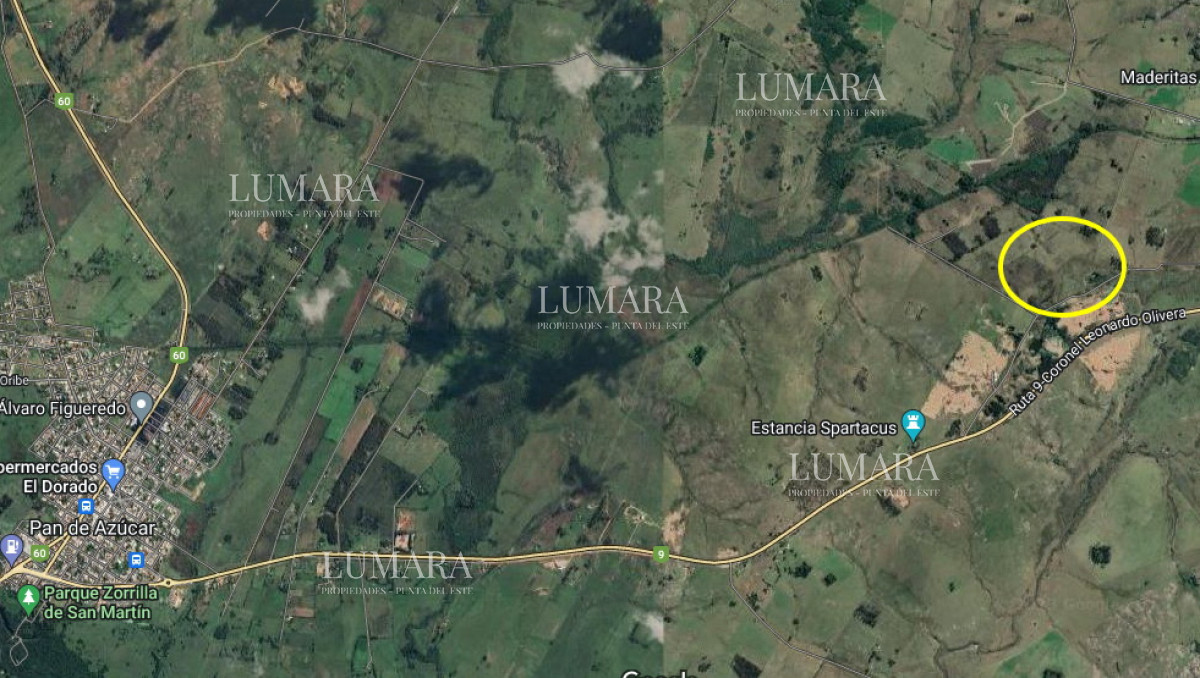 Chacra ID.3247 - Vendo chacra ruta 9, cerca de Pan de Azúcar, Maldonado. A 45´ de Punta del Este. Financia.