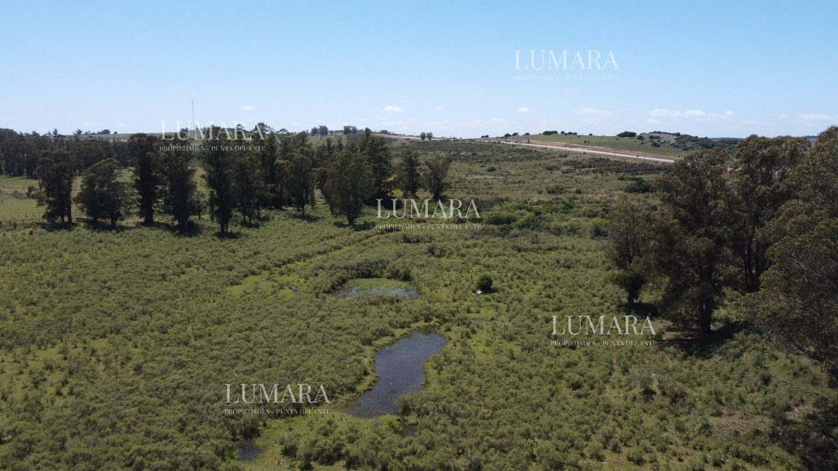 Chacra ID.3247 - Vendo chacra ruta 9, cerca de Pan de Azúcar, Maldonado. A 45´ de Punta del Este. Financia.