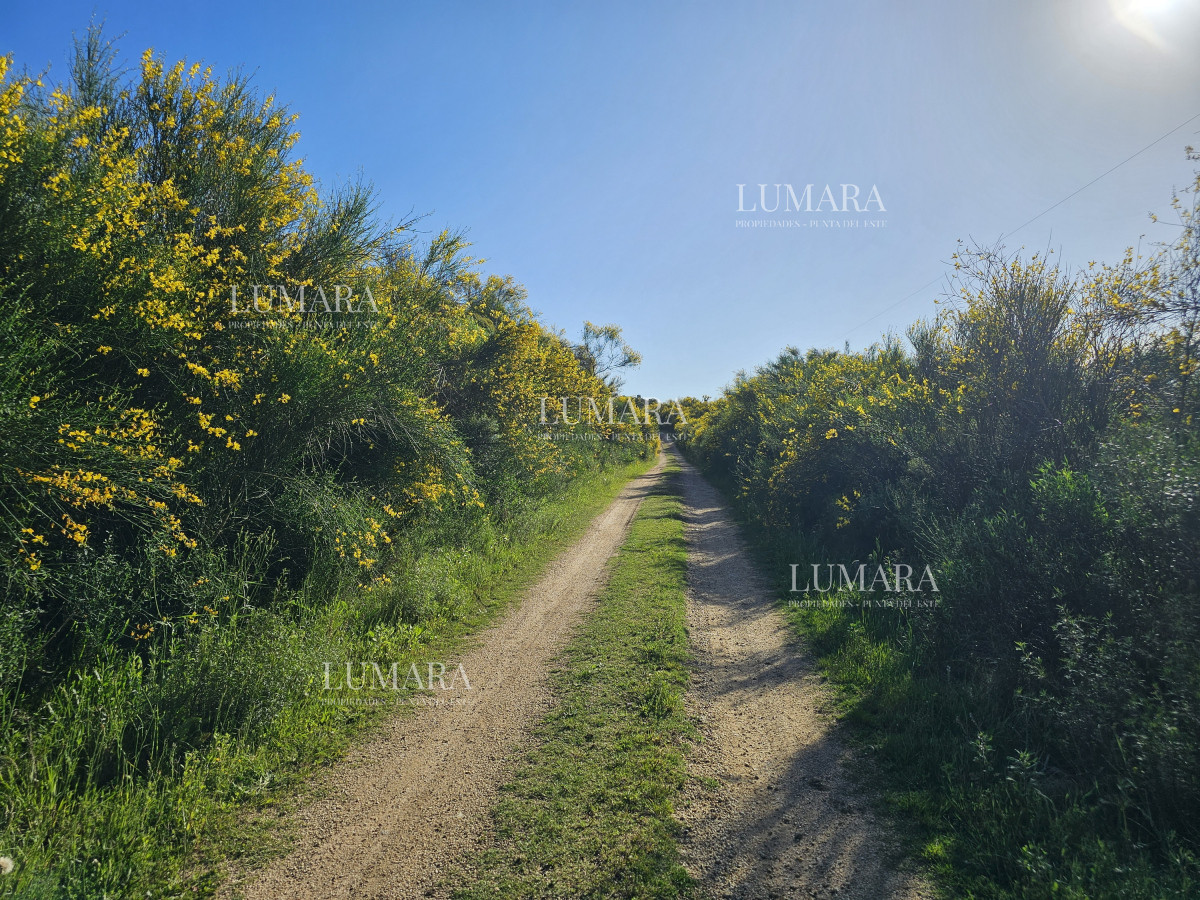 Chacra ID.3247 - Vendo chacra ruta 9, cerca de Pan de Azúcar, Maldonado. A 45´ de Punta del Este. Financia.