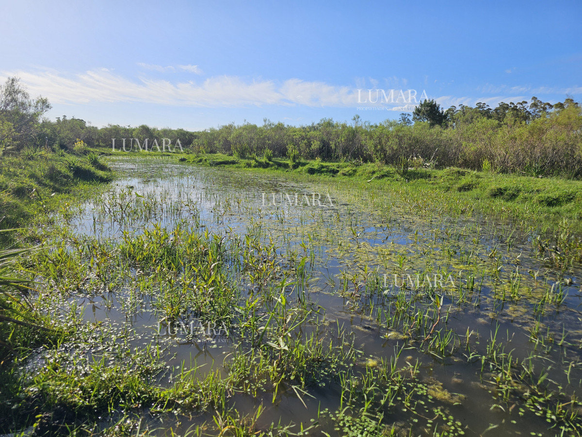 Chacra ID.3247 - Vendo chacra ruta 9, cerca de Pan de Azúcar, Maldonado. A 45´ de Punta del Este. Financia.
