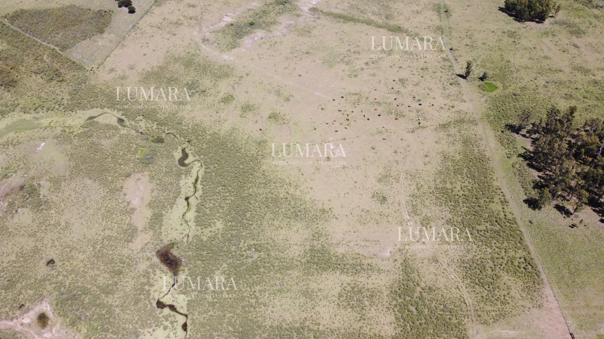 Chacra ID.3247 - Vendo chacra ruta 9, cerca de Pan de Azúcar, Maldonado. A 45´ de Punta del Este. Financia.
