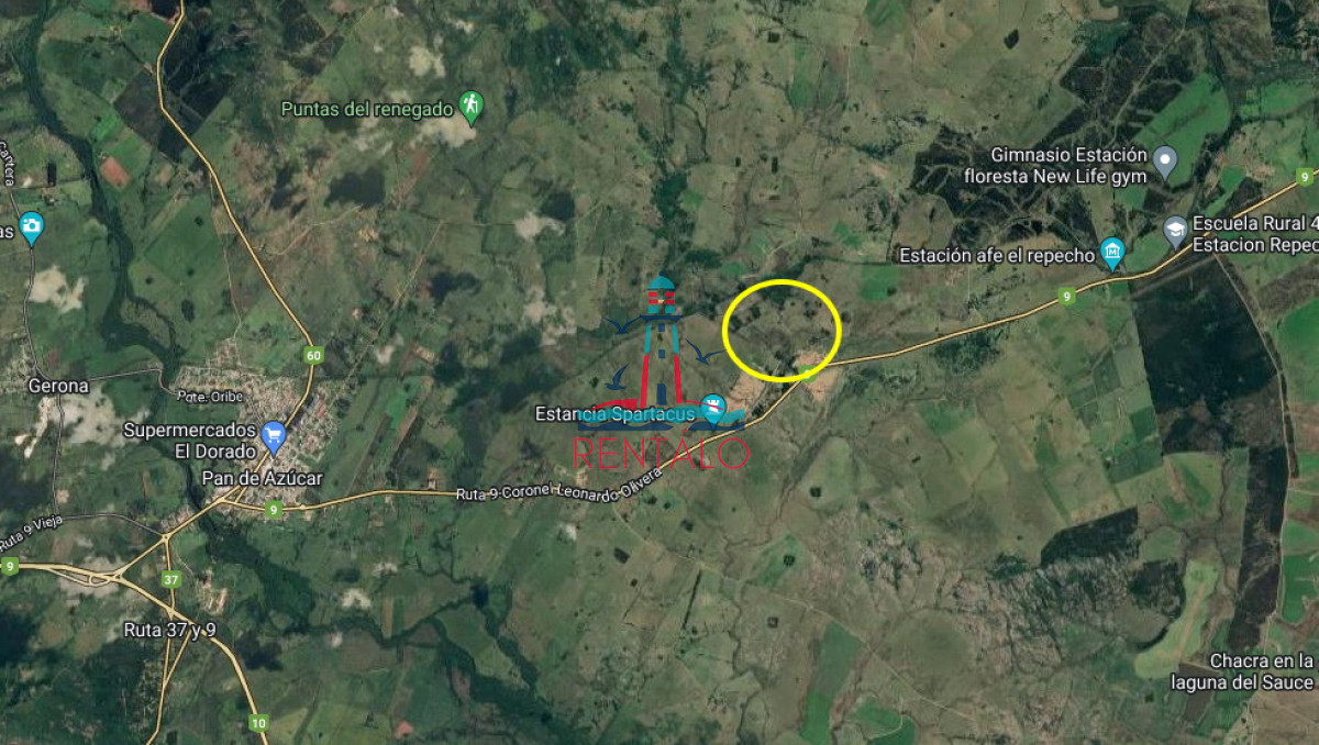Chacra ID.274 - Vendo chacra ruta 9, cerca de Pan de Azúcar, Maldonado. A 45´ de Punta del Este. Financia.