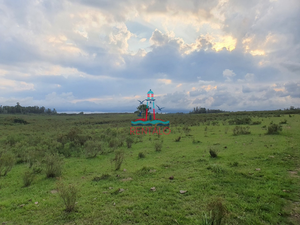 Chacra ID.274 - Vendo chacra ruta 9, cerca de Pan de Azúcar, Maldonado. A 45´ de Punta del Este. Financia.