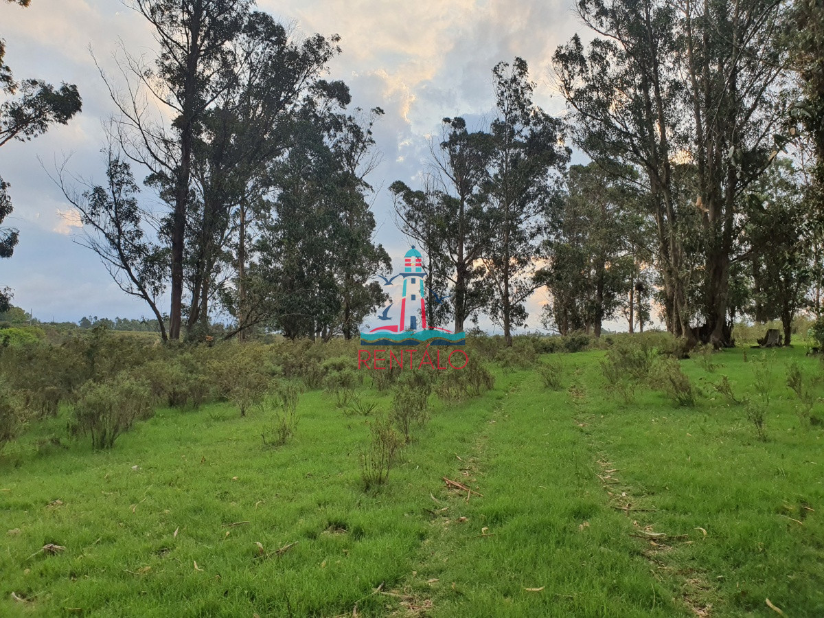 Chacra ID.274 - Vendo chacra ruta 9, cerca de Pan de Azúcar, Maldonado. A 45´ de Punta del Este. Financia.