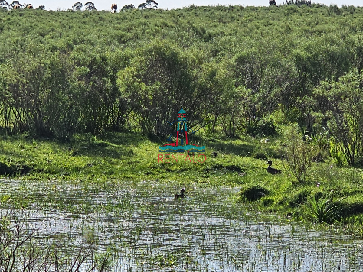 Chacra ID.274 - Vendo chacra ruta 9, cerca de Pan de Azúcar, Maldonado. A 45´ de Punta del Este. Financia.
