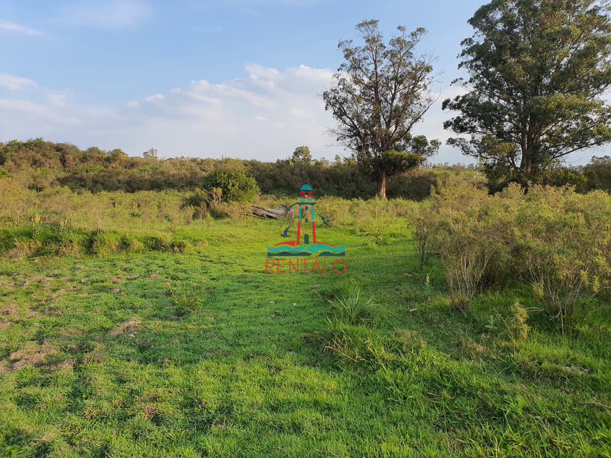 Chacra ID.274 - Vendo chacra ruta 9, cerca de Pan de Azúcar, Maldonado. A 45´ de Punta del Este. Financia.