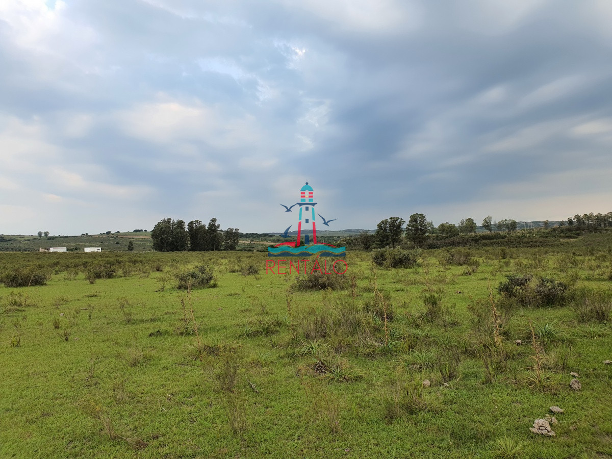 Chacra ID.274 - Vendo chacra ruta 9, cerca de Pan de Azúcar, Maldonado. A 45´ de Punta del Este. Financia.