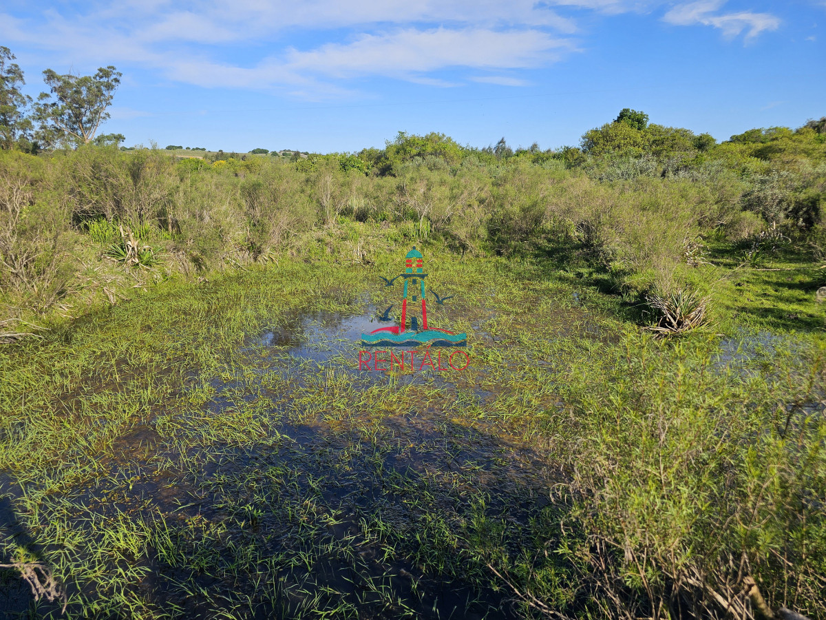 Chacra ID.274 - Vendo chacra ruta 9, cerca de Pan de Azúcar, Maldonado. A 45´ de Punta del Este. Financia.