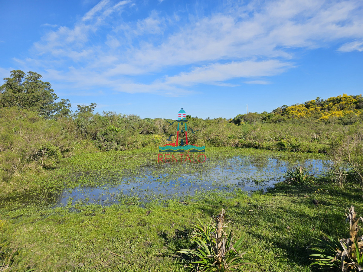 Chacra ID.274 - Vendo chacra ruta 9, cerca de Pan de Azúcar, Maldonado. A 45´ de Punta del Este. Financia.