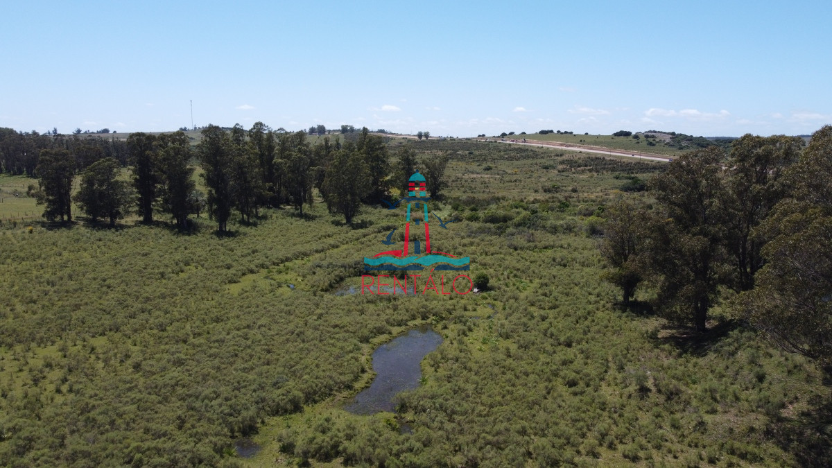Chacra ID.274 - Vendo chacra ruta 9, cerca de Pan de Azúcar, Maldonado. A 45´ de Punta del Este. Financia.