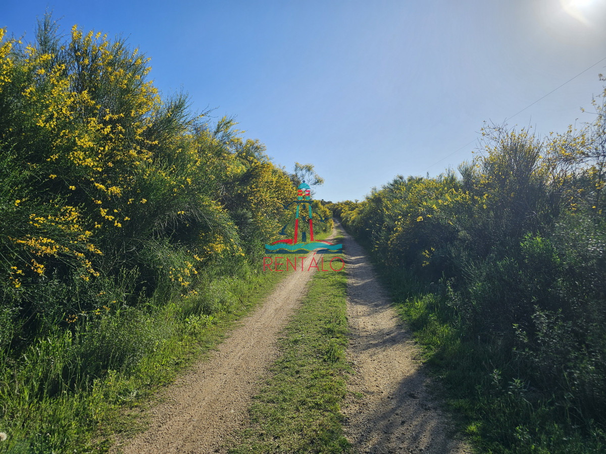 Chacra ID.274 - Vendo chacra ruta 9, cerca de Pan de Azúcar, Maldonado. A 45´ de Punta del Este. Financia.