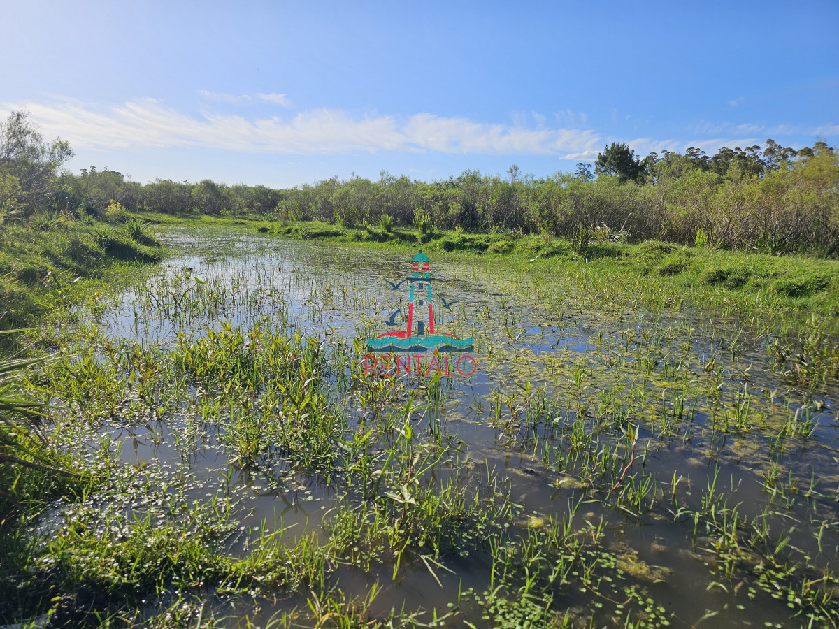 Chacra ID.274 - Vendo chacra ruta 9, cerca de Pan de Azúcar, Maldonado. A 45´ de Punta del Este. Financia.