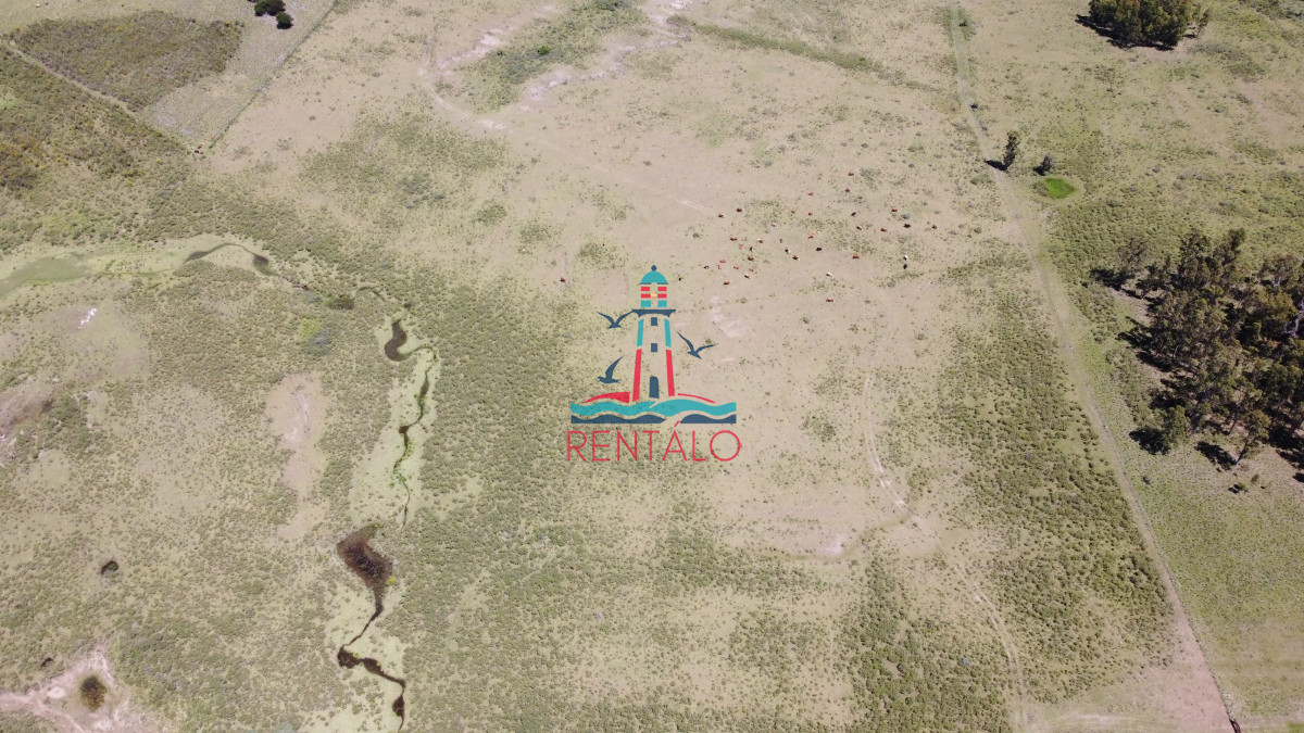 Chacra ID.274 - Vendo chacra ruta 9, cerca de Pan de Azúcar, Maldonado. A 45´ de Punta del Este. Financia.