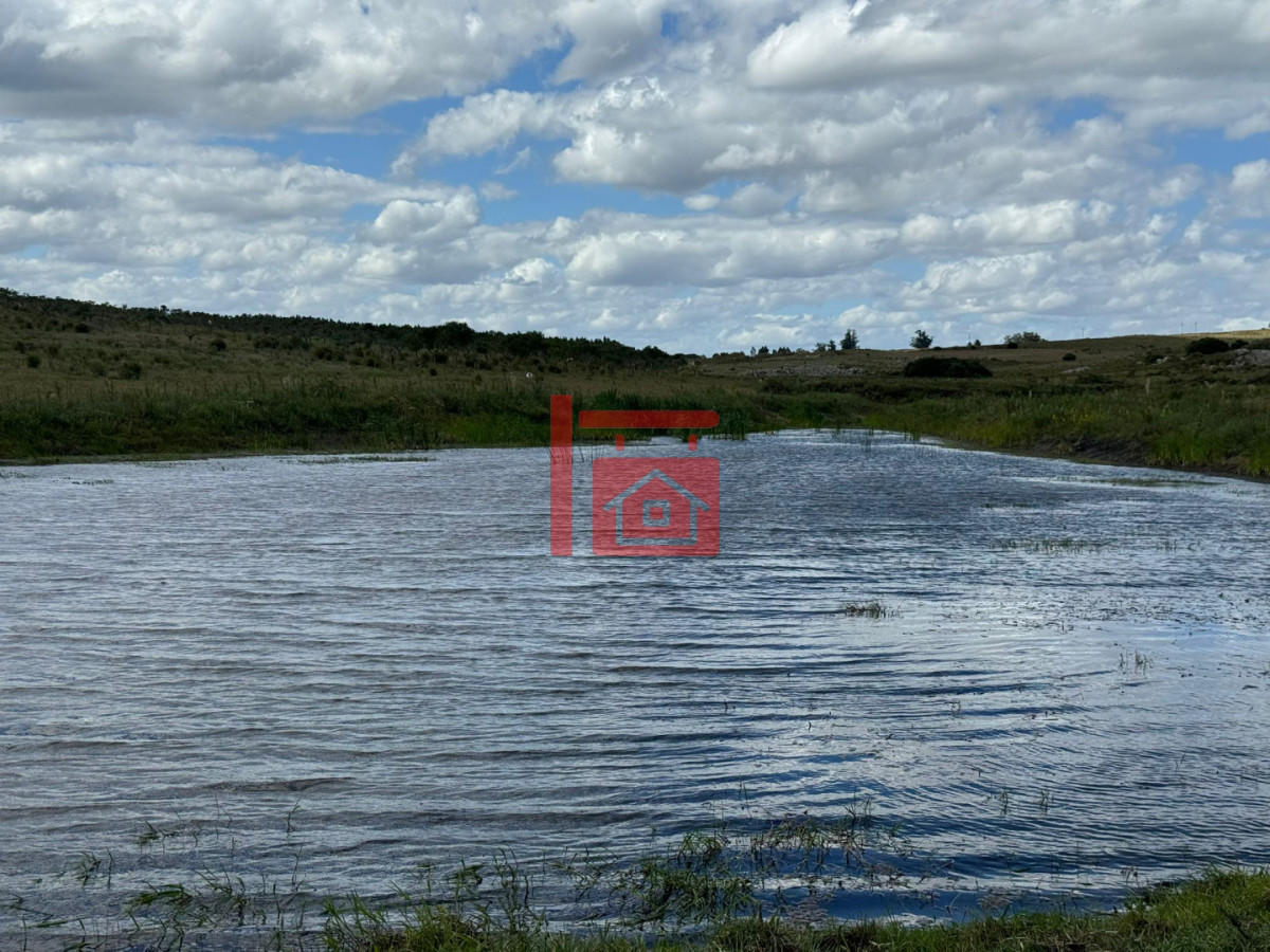 Chacra ID.1543 - En venta chacra 20 hectareas con Olivos en Ruta 9 cerca de Pan de Azúcar.