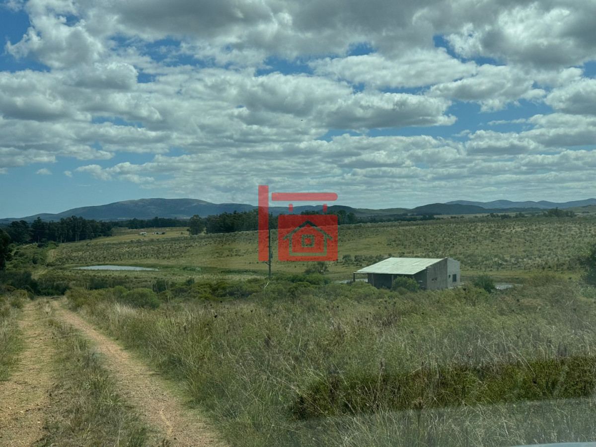 Chacra ID.1543 - En venta chacra 20 hectareas con Olivos en Ruta 9 cerca de Pan de Azúcar.