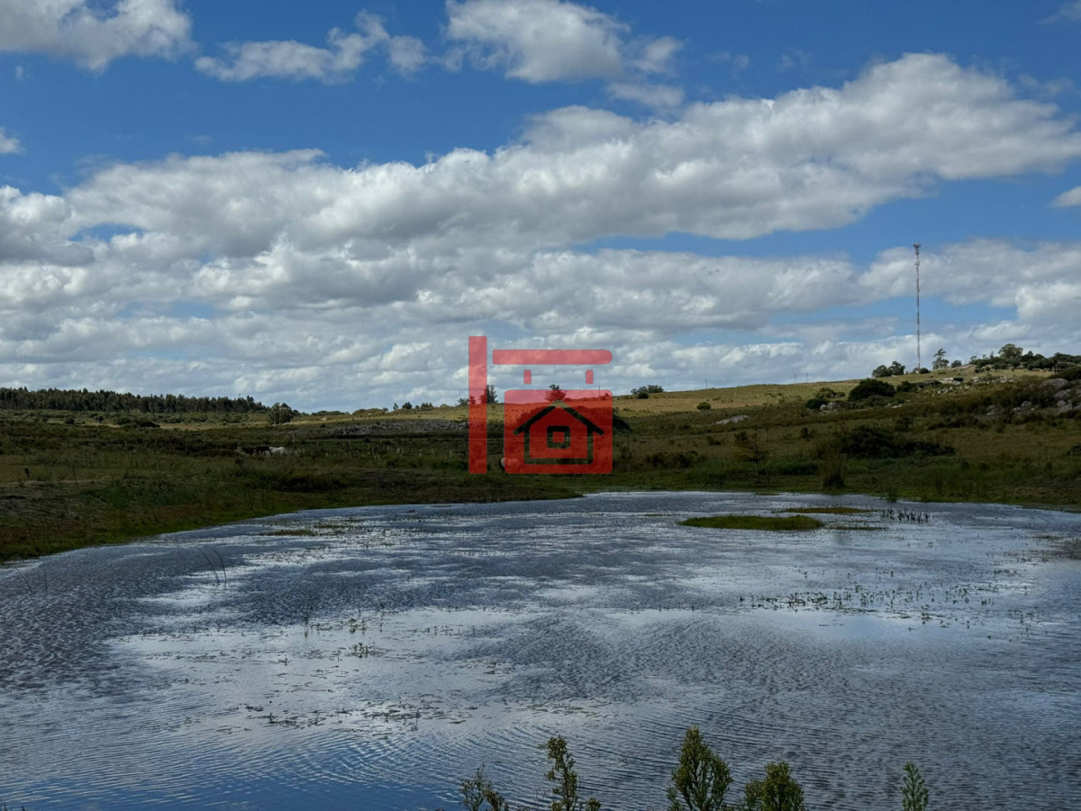 Chacra ID.1543 - En venta chacra 20 hectareas con Olivos en Ruta 9 cerca de Pan de Azúcar.