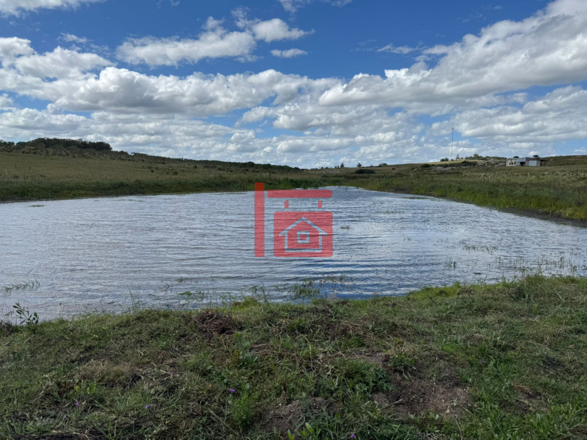 Chacra ID.1543 - En venta chacra 20 hectareas con Olivos en Ruta 9 cerca de Pan de Azúcar.