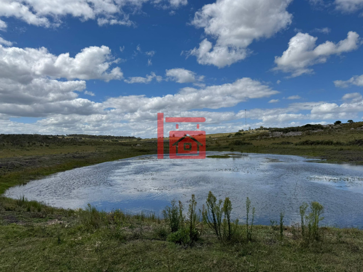 Chacra ID.1543 - En venta chacra 20 hectareas con Olivos en Ruta 9 cerca de Pan de Azúcar.