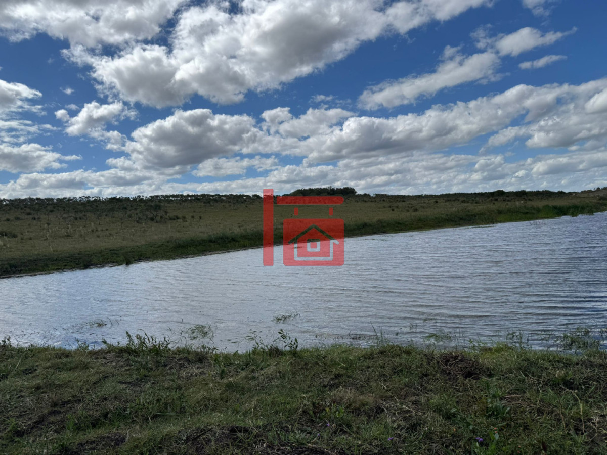 Chacra ID.1543 - En venta chacra 20 hectareas con Olivos en Ruta 9 cerca de Pan de Azúcar.