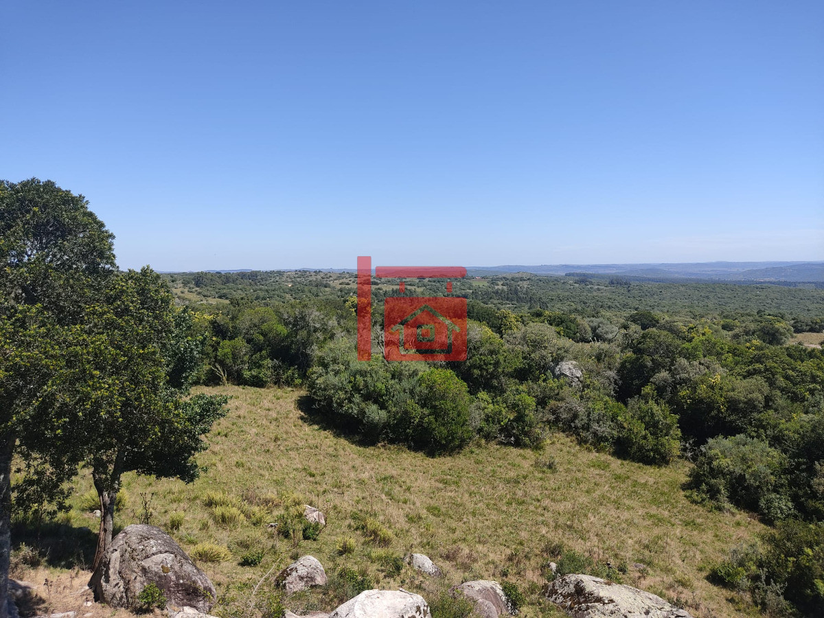 Chacra ID.1544 - Preciosa Chacra en el punto mas alto del pais