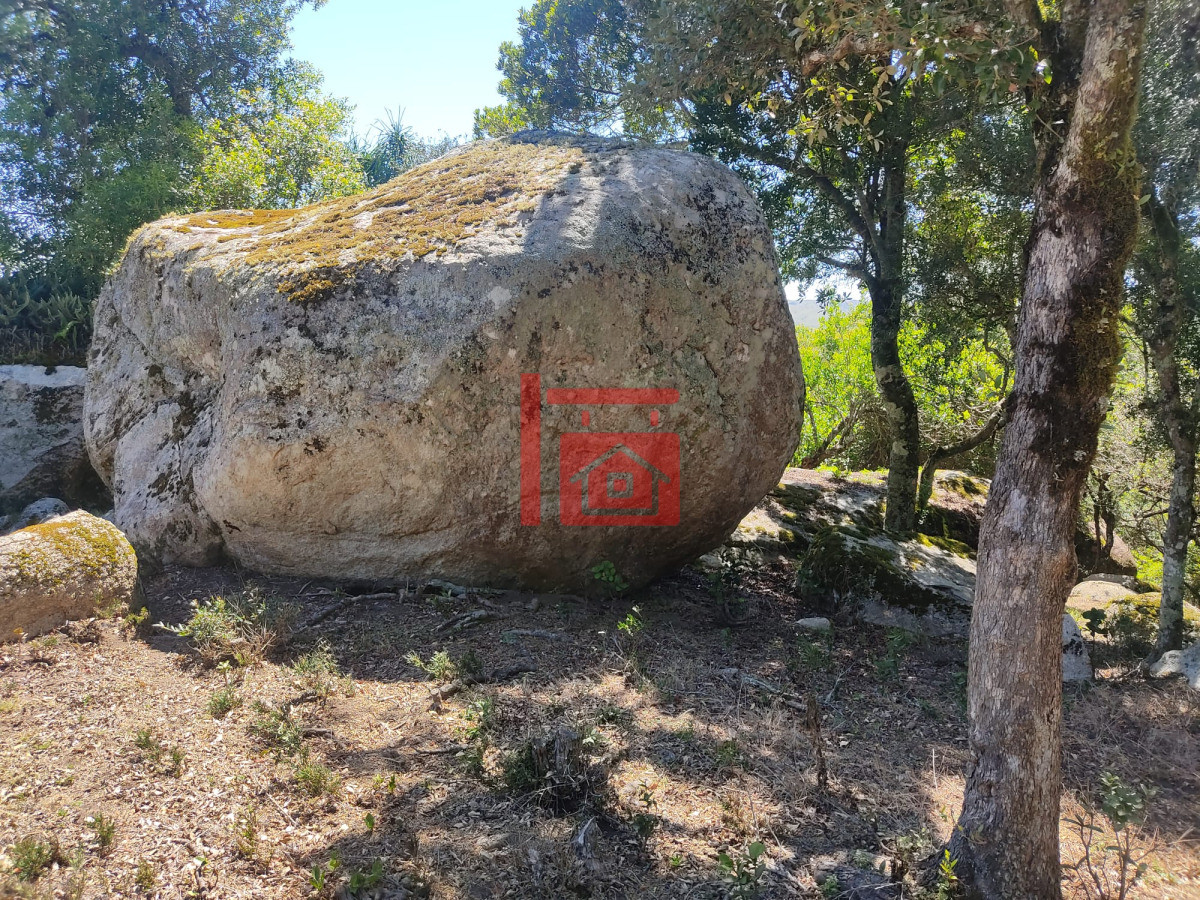 Chacra ID.1544 - Preciosa Chacra en el punto mas alto del pais