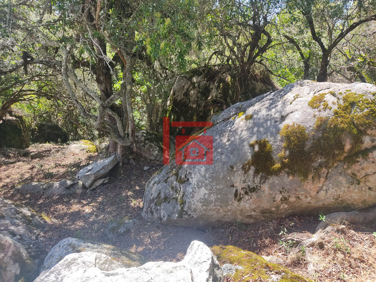 Chacra ID.1544 - Preciosa Chacra en el punto mas alto del pais
