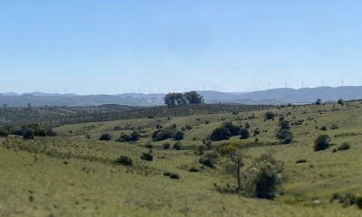 Chacras con vistas Únicas, Olivos, Sierras y descanso... !! Atención Precio Rebajado !!