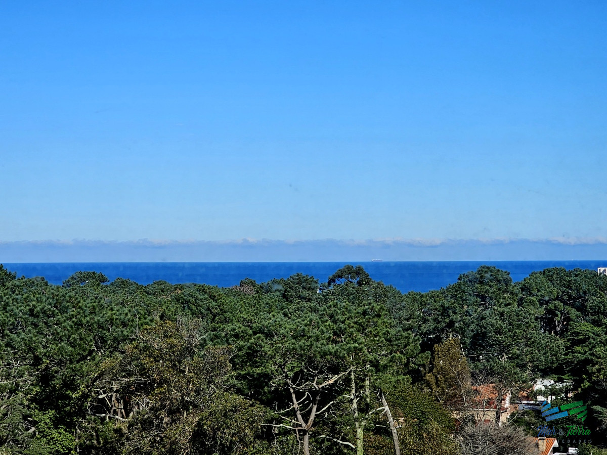 APARTAMENTO EN VENTA, 3 DORMITORIOS. SOBRE ROOSEVELT 