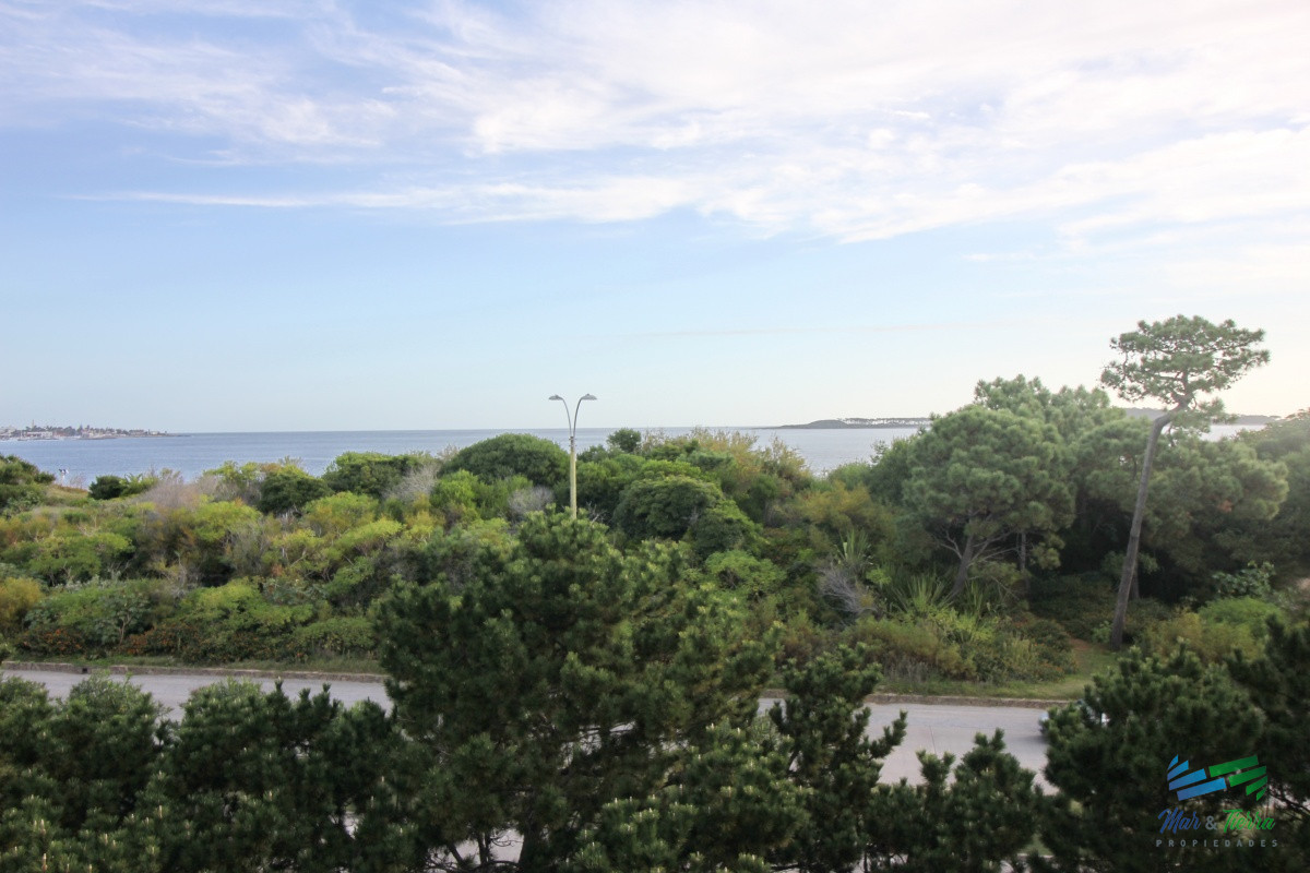 Apartamento ID.2502 - En venta apartamento 3 dormitorios en primera linea sobre Playa Mansa, Punta del Este.