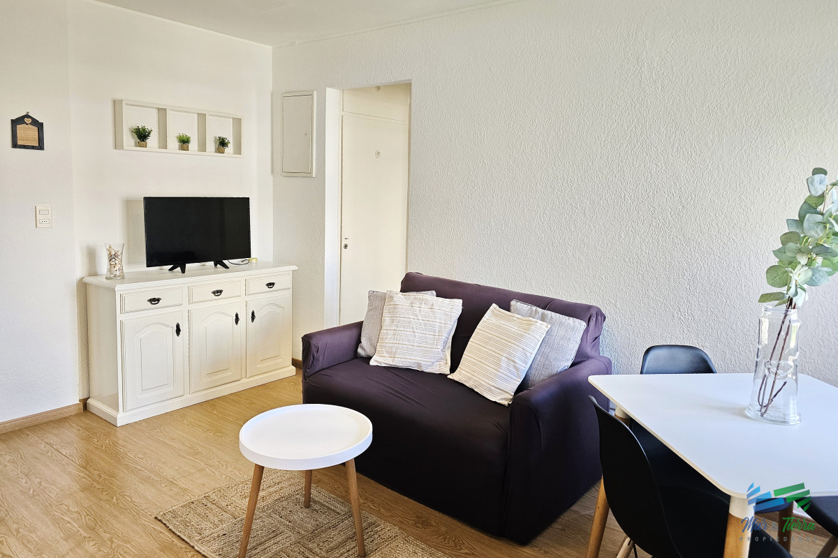 Apartamento ID.96 - En venta apartamento 1 dormitorio en Penisula, Punta del Este