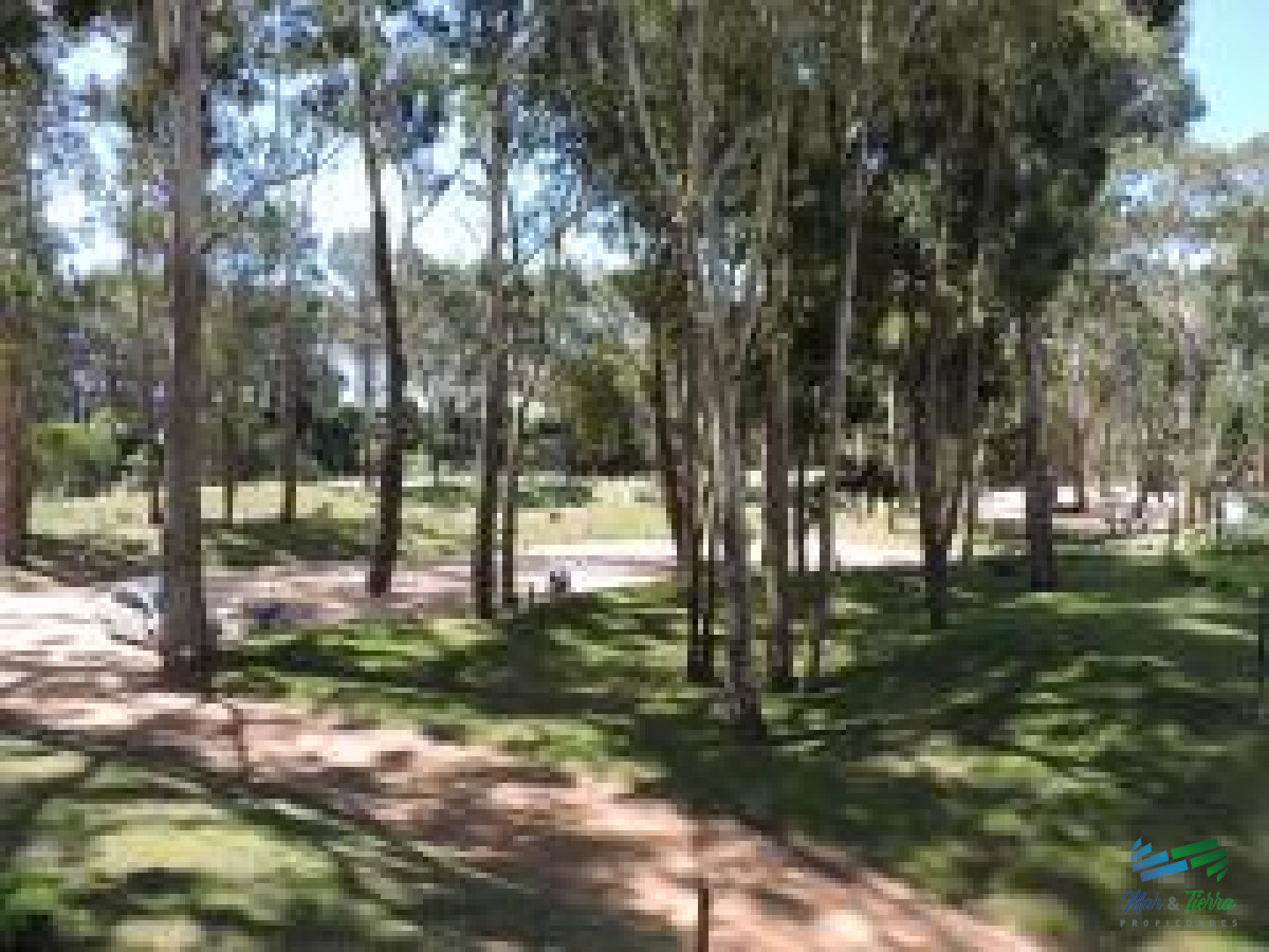 Apartamento ID.4844 - Venta de apartamento en Green Park Solanas Punta Ballena 