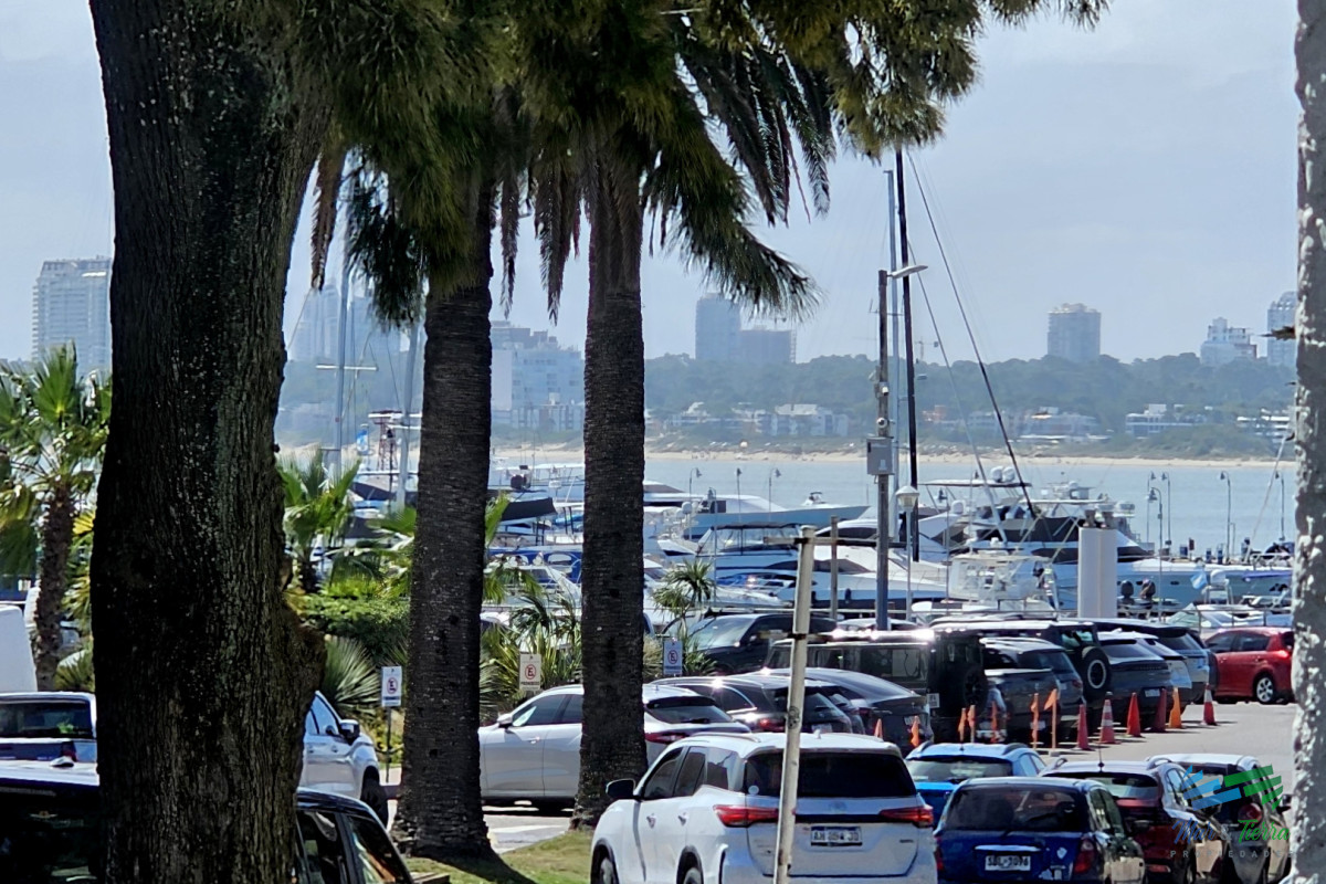 Apartamento ID.5725 - ALQUILER ANUAL EN LA PENÍNSULA, A UNA CUADRA DEL PUERTO DE PUNTA DEL ESTE, MONOAMBIENTE!!!