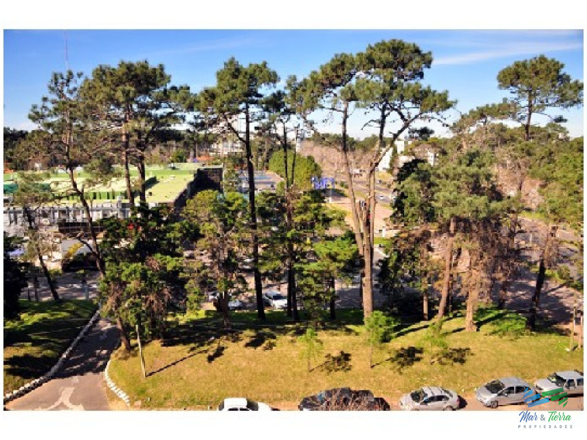 Apartamento ID.336 -    APARTAMENTO EN VENTA! Muy lindo apartamento ubicado sobre Roosvelt.