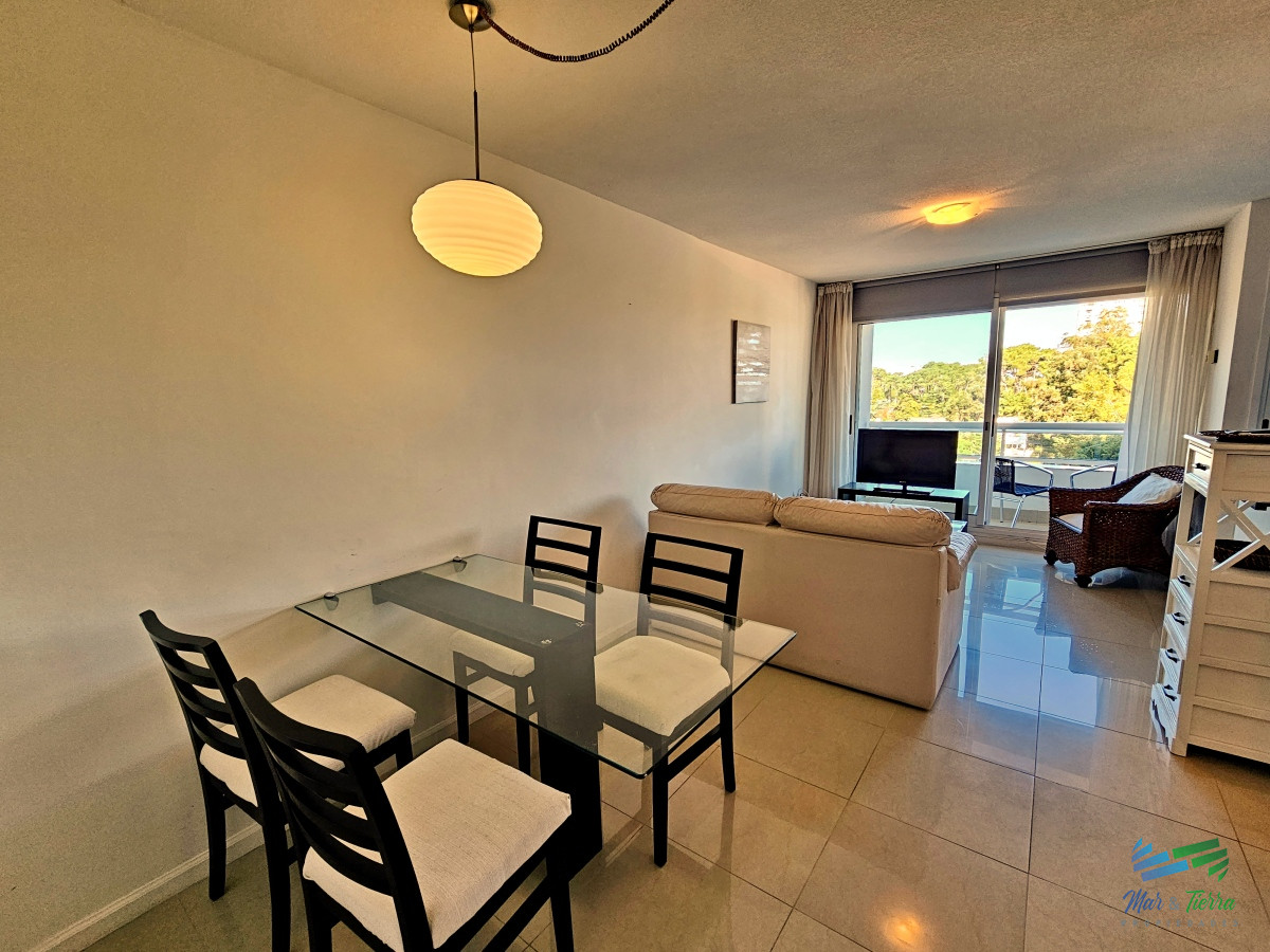 Apartamento ID.119 - En venta apartamento 1 dormitorio con servicios en Roosevelt, Punta del Este