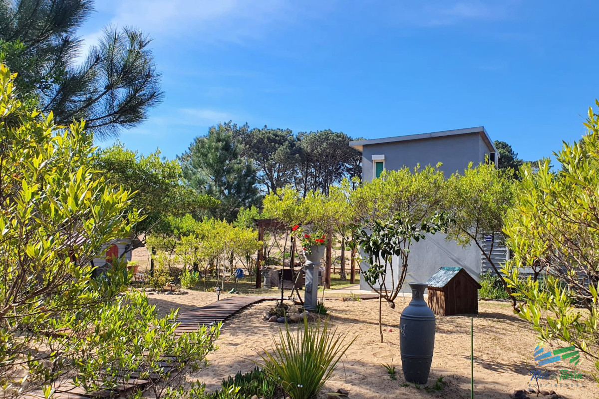 Chihuahua - GoPunta - Portal Inmobiliario de Punta del Este - Maldonado