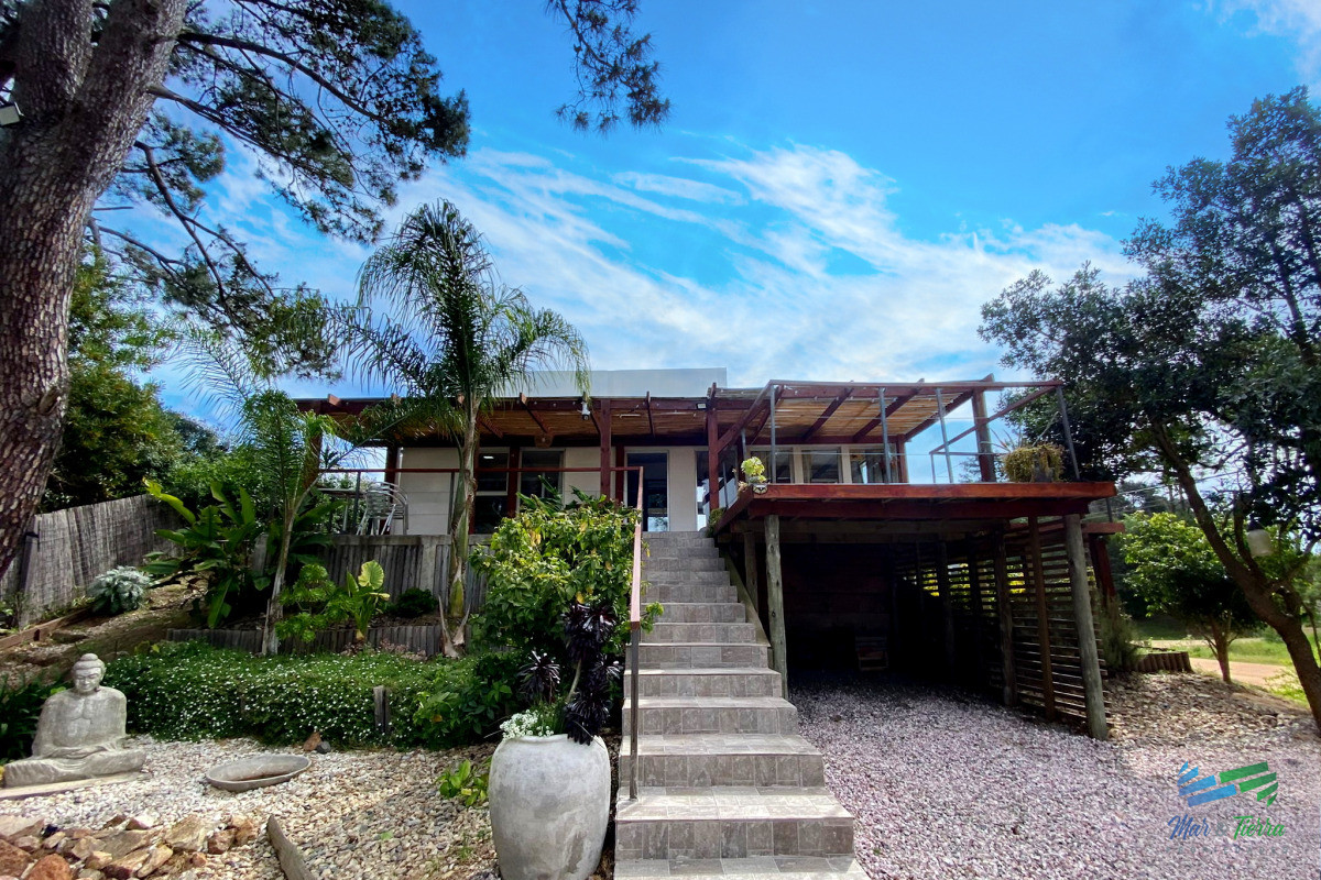 Chihuahua - GoPunta - Portal Inmobiliario de Punta del Este - Maldonado