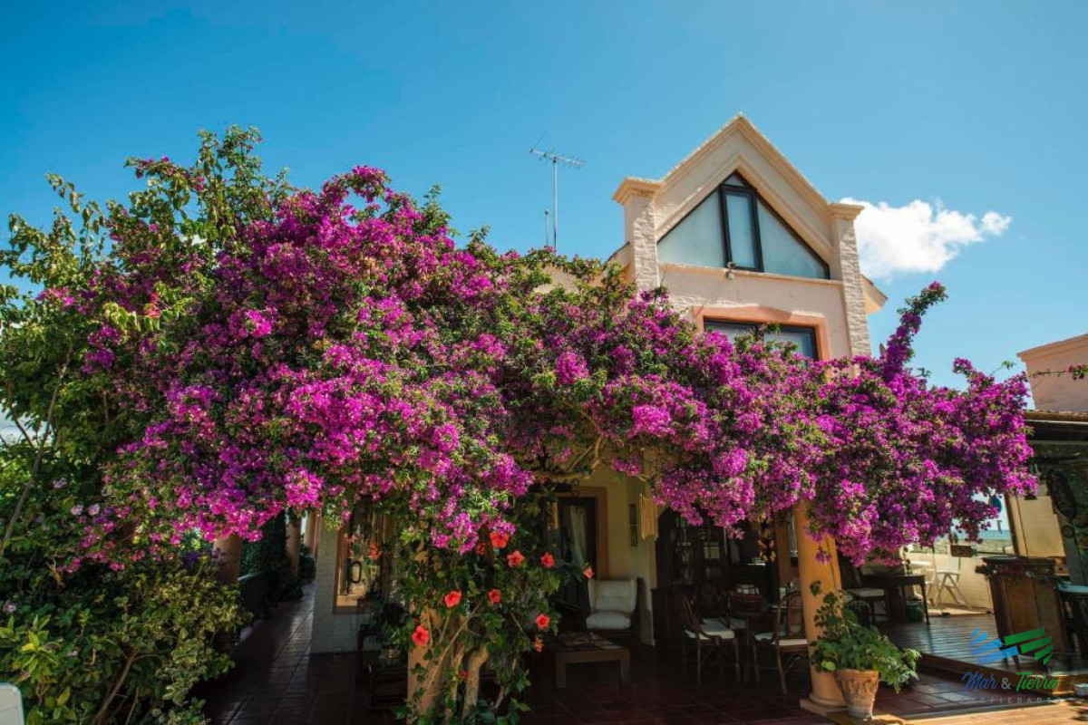 Casa ID.3975 - Venta de casa de 6 dormitorios en Playa Mansa Punta del Este Piedras del Chileno Punta Ballena 