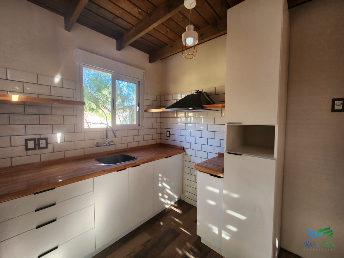 Chihuahua - GoPunta - Portal Inmobiliario de Punta del Este - Maldonado
