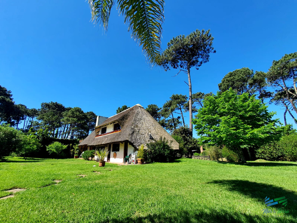 Marly - GoPunta - Portal Inmobiliario de Punta del Este - Maldonado
