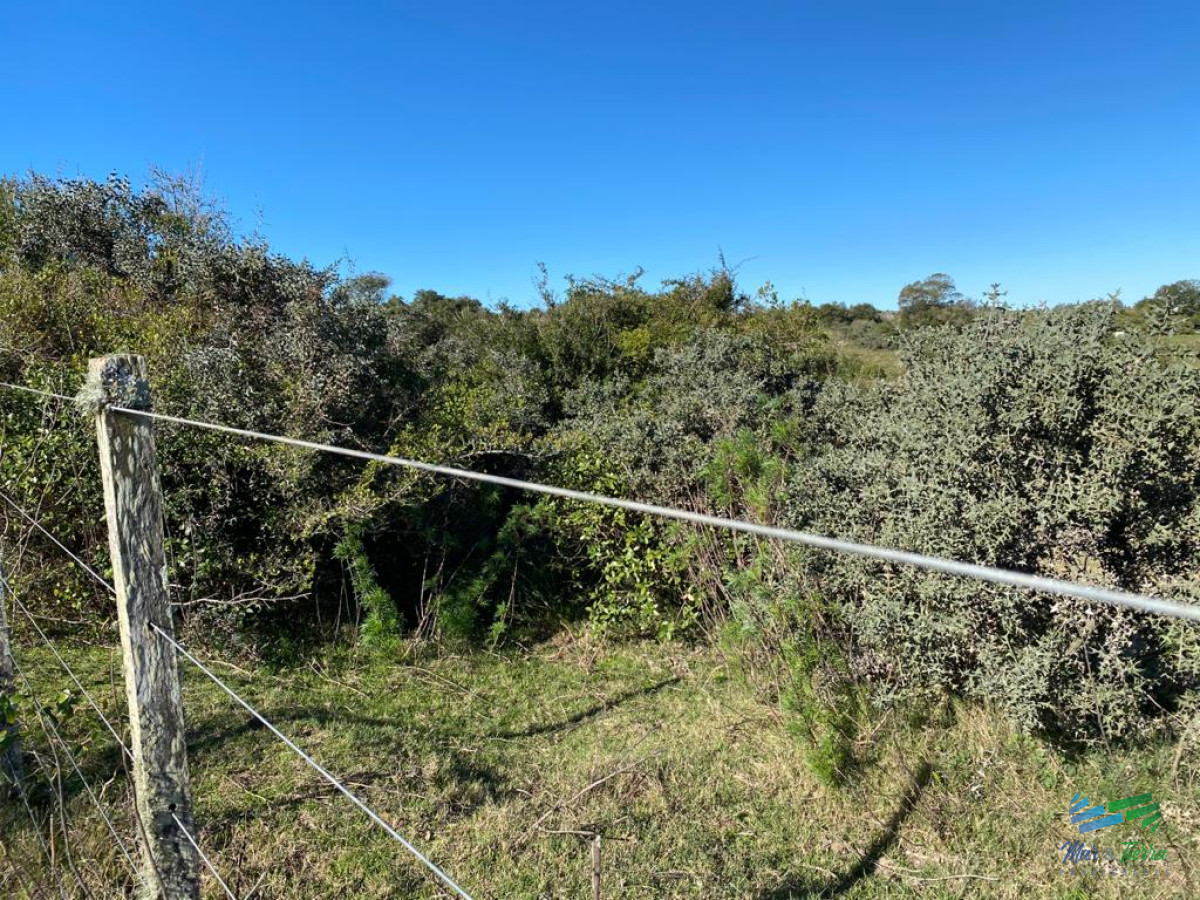 Pueblo Eden - GoPunta - Portal Inmobiliario de Punta del Este - Maldonado