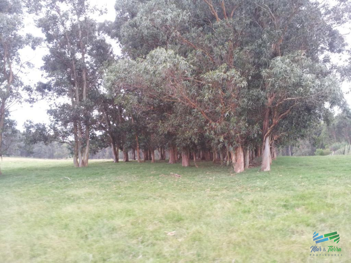 Zona Rural - GoPunta - Portal Inmobiliario de Punta del Este - Maldonado