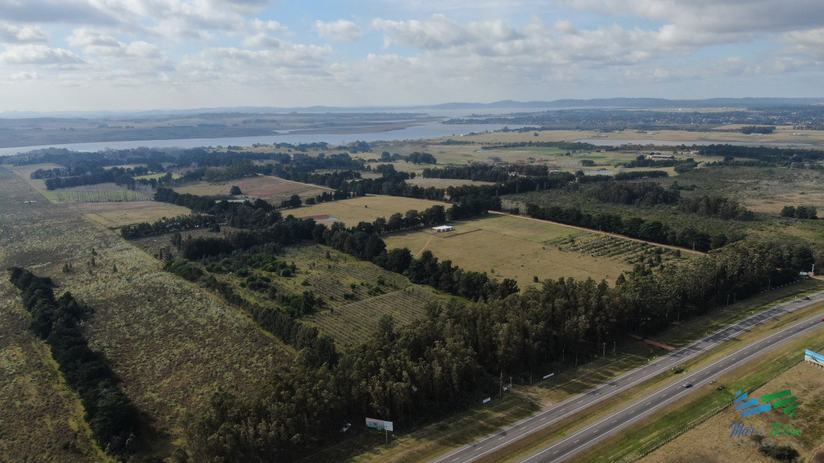 Zona Rural - GoPunta - Portal Inmobiliario de Punta del Este - Maldonado