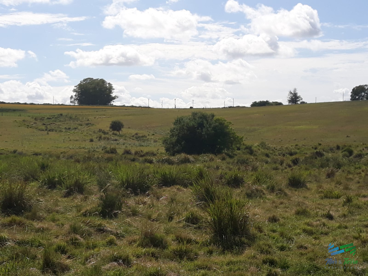 Zona Rural - GoPunta - Portal Inmobiliario de Punta del Este - Maldonado