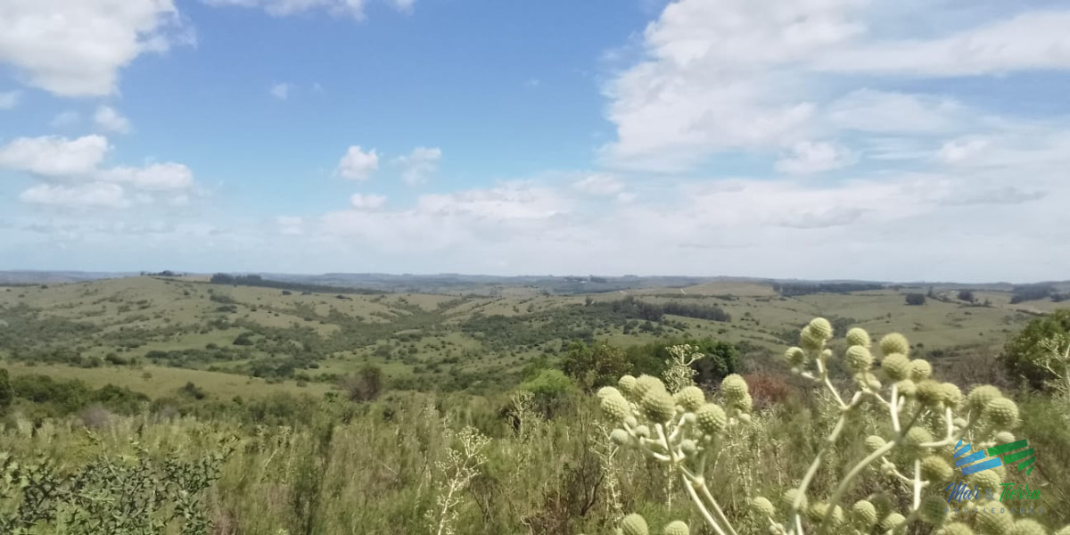 36 Has buenas vistas, aptas para fraccionar