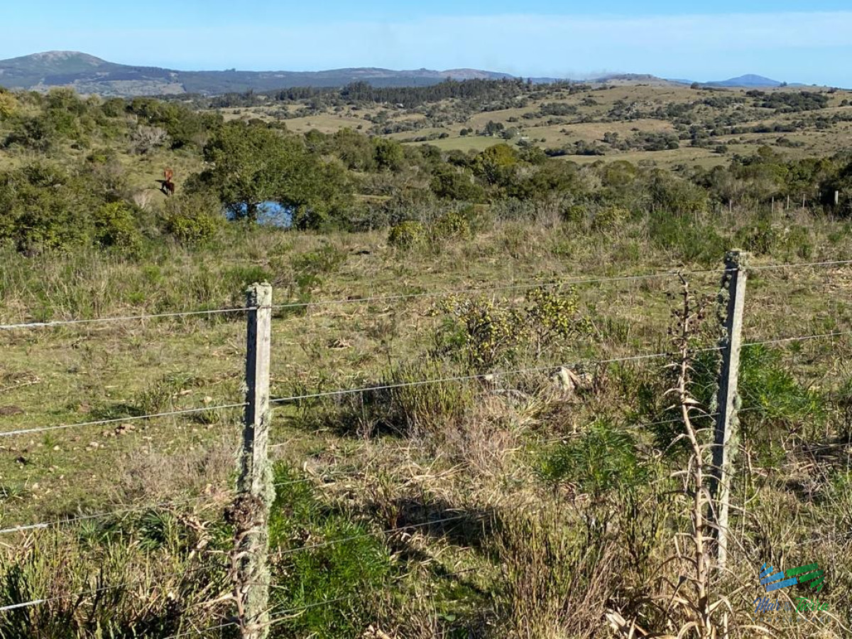 En venta, chacra con vistas panorámicas y monte nativo !!!
