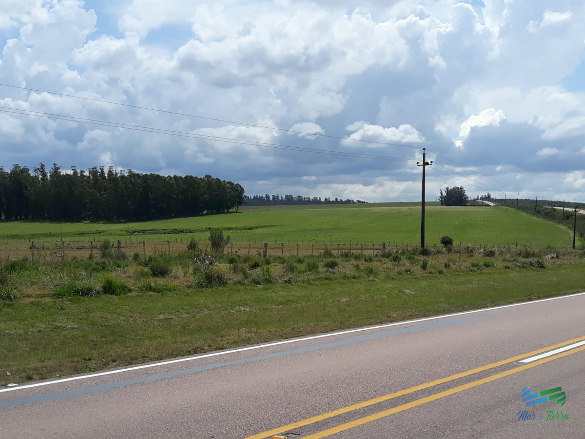 Chacra 5 Has sobre R.39 a 15 Kms de Ruta 9 y 32 de Punta del Este.