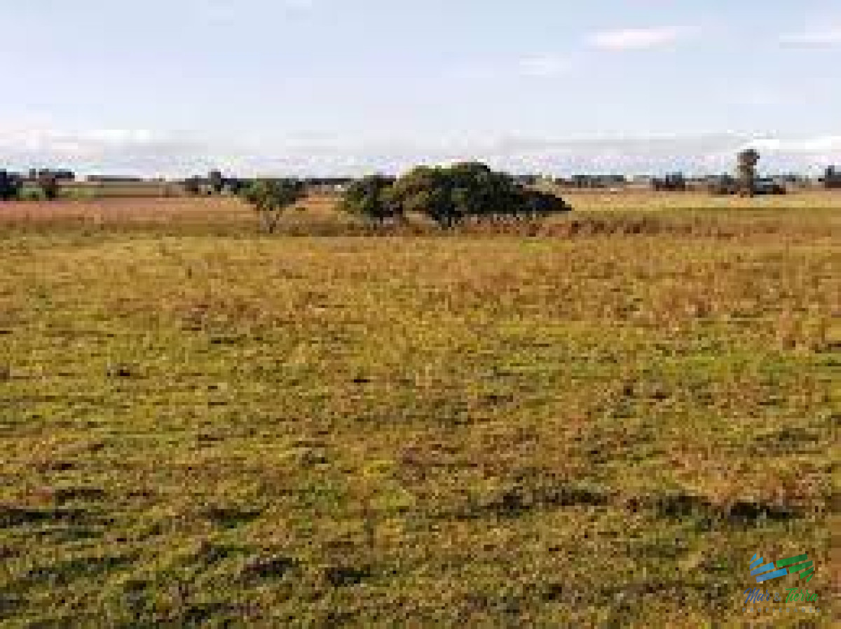 Pueblo Eden - GoPunta - Portal Inmobiliario de Punta del Este - Maldonado